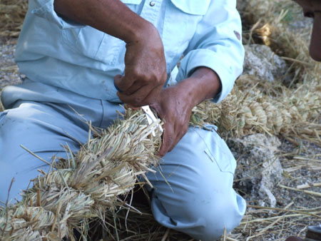e0028387_10462249.jpg
