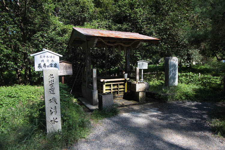 e0051888_20483090.jpg