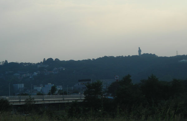 d0000995_22945.jpg
