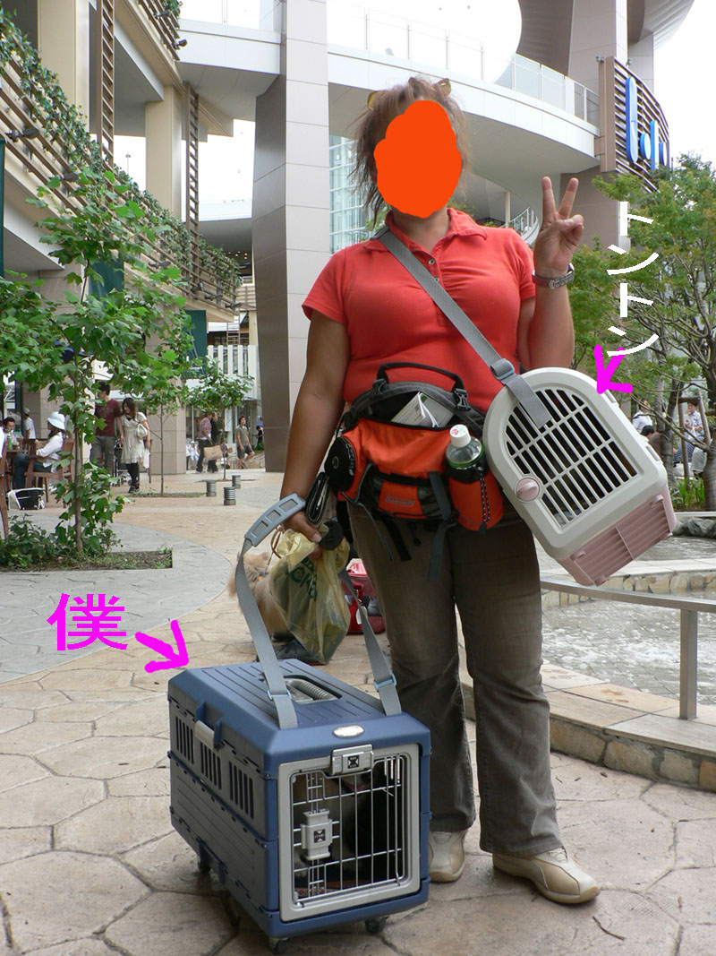 c0128896_22134430.jpg