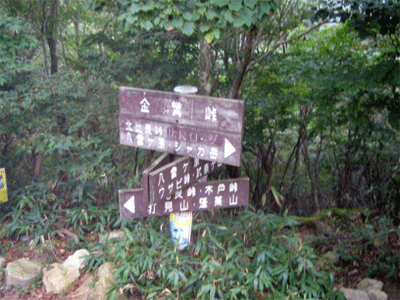 b0108100_10171322.gif