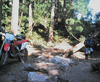 e0104702_11544544.jpg