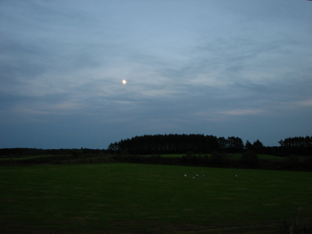 f0020302_21255914.jpg