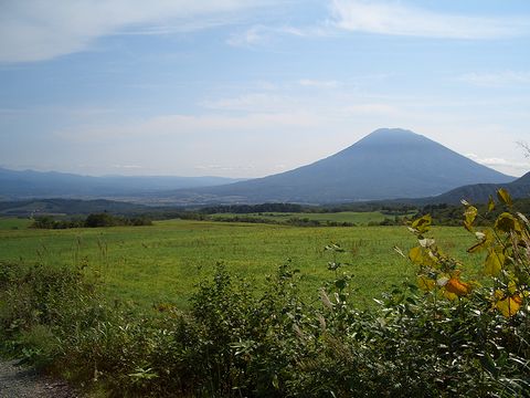 d0050007_19174943.jpg