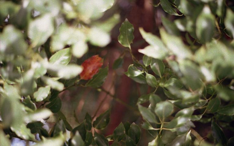 d0071507_154341100.jpg