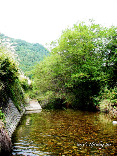 e0009009_2048363.jpg