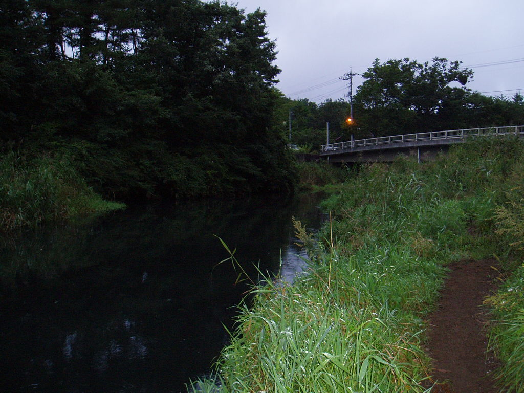 f0137709_22461188.jpg