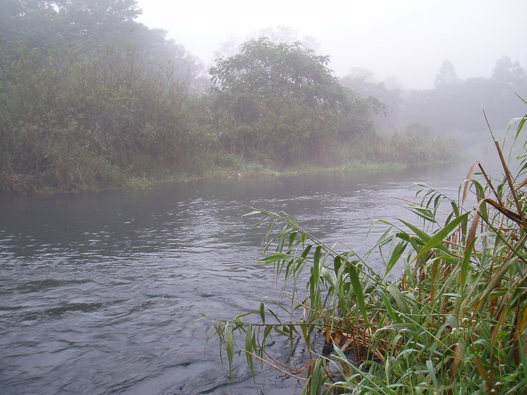 f0137709_22484466.jpg