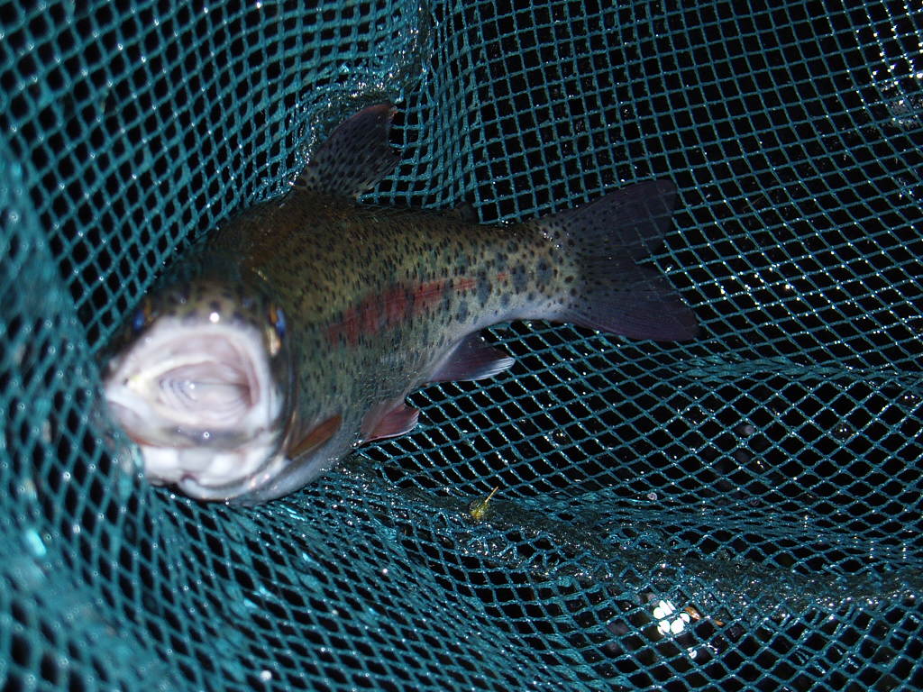 f0137709_22593231.jpg