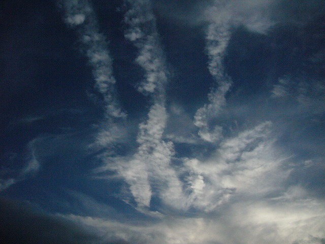 d0037110_2227042.jpg