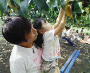 f0041113_0113253.jpg