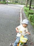 c0126614_6584168.jpg