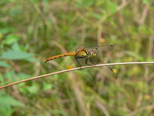 e0002314_16382576.jpg