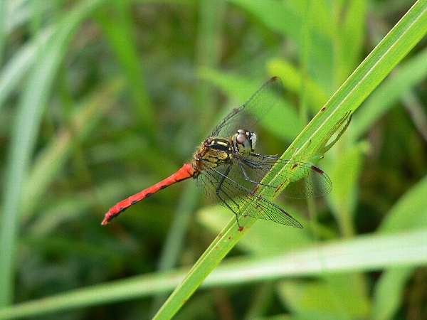 e0002314_16423531.jpg