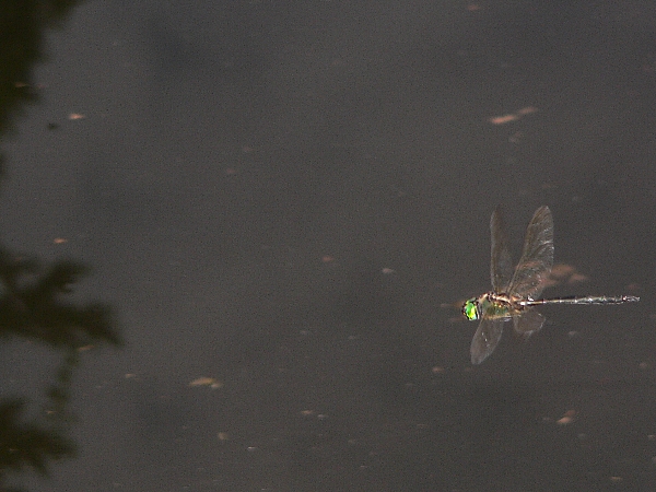 e0002314_16452886.jpg