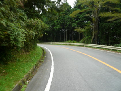 a0077616_1157495.jpg