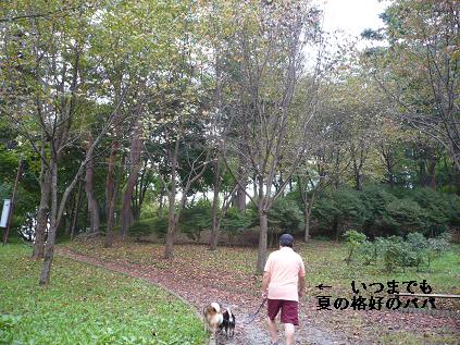 f0041917_1953431.jpg