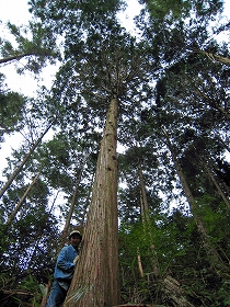e0002820_22323873.jpg