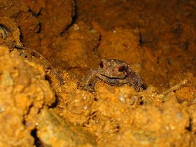 e0002820_22382932.jpg