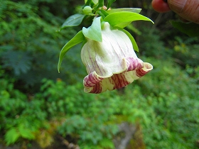 e0002820_22402288.jpg