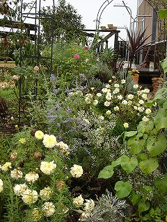 f0054421_2218663.jpg