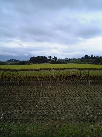 f0022024_14164278.jpg