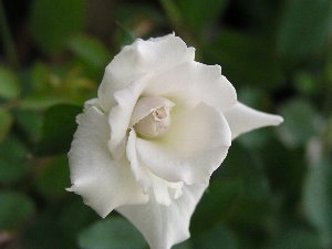 b0031925_12194417.jpg