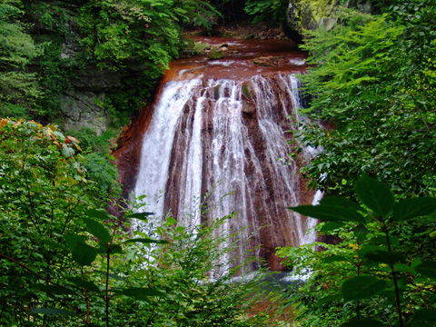 f0147025_1723273.jpg