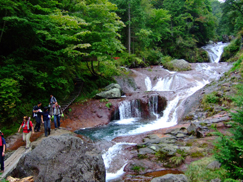 f0147025_17251313.jpg