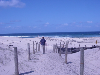 b0001528_2218298.jpg