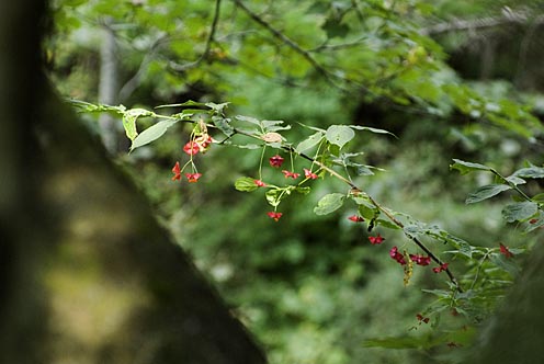 e0025030_17384773.jpg