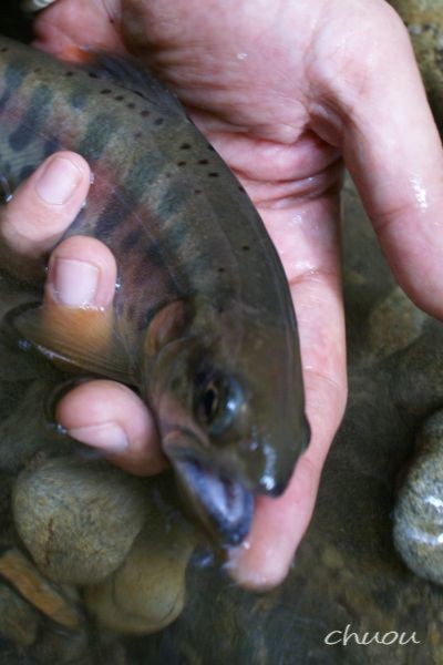 f0146531_22501298.jpg