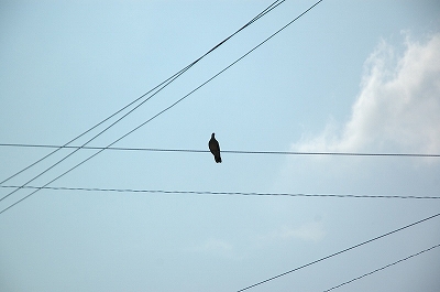 a0017634_8515787.jpg