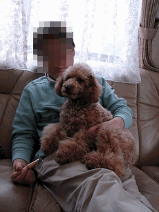 c0136736_1204997.gif