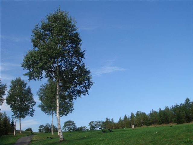 e0067640_1022477.jpg