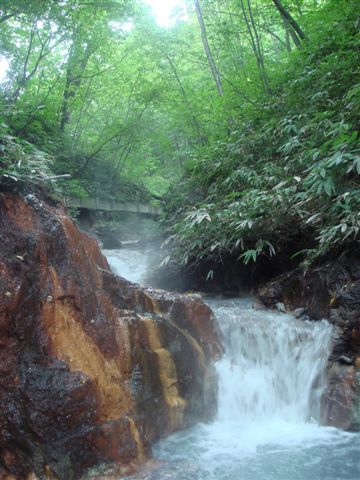 e0067640_10333213.jpg