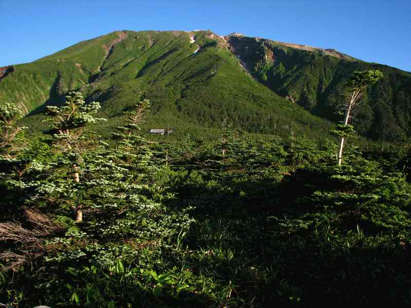 e0014441_10325267.jpg
