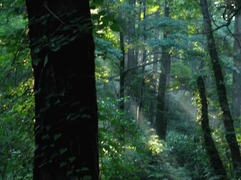 e0014441_10512444.jpg