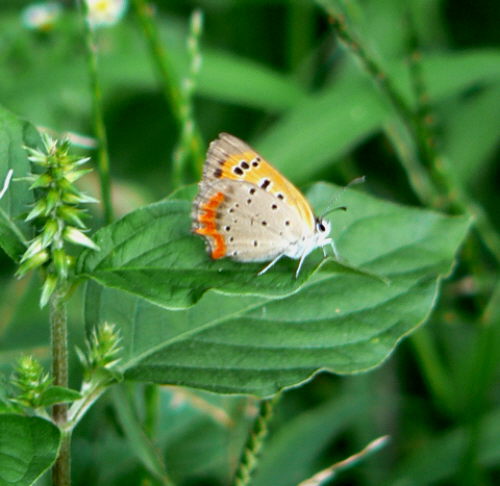 d0091754_3194678.jpg