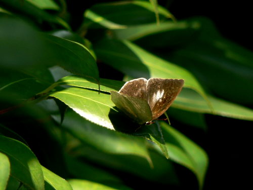 d0091754_324483.jpg