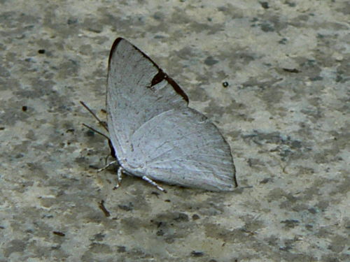 d0091754_325679.jpg