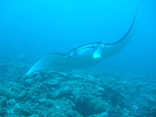 c0029455_21474889.jpg