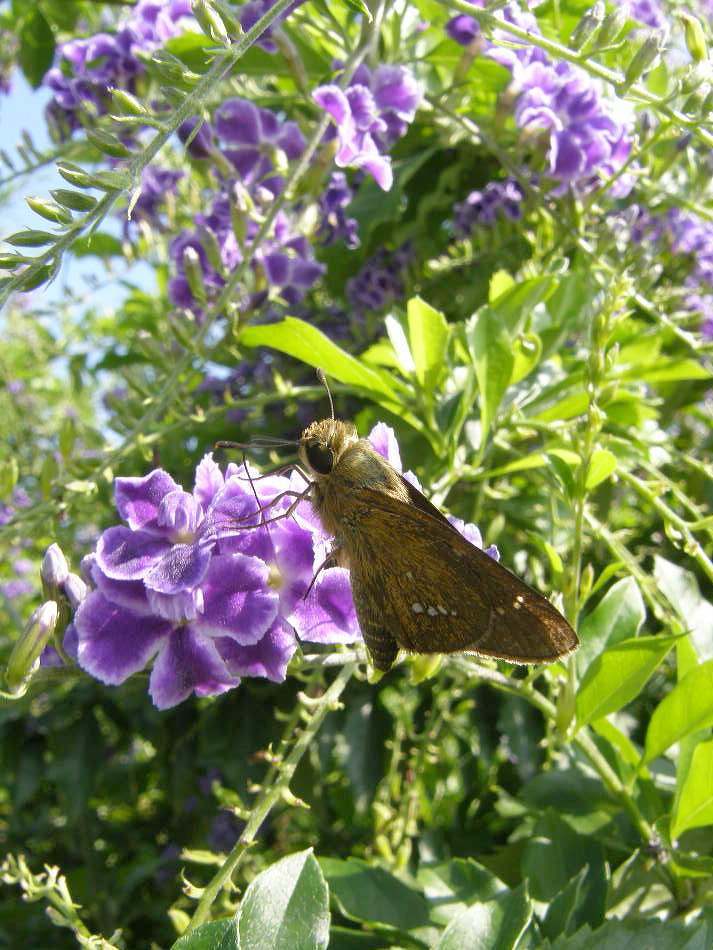 e0064158_0242779.jpg