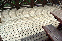 c0131959_1124595.jpg