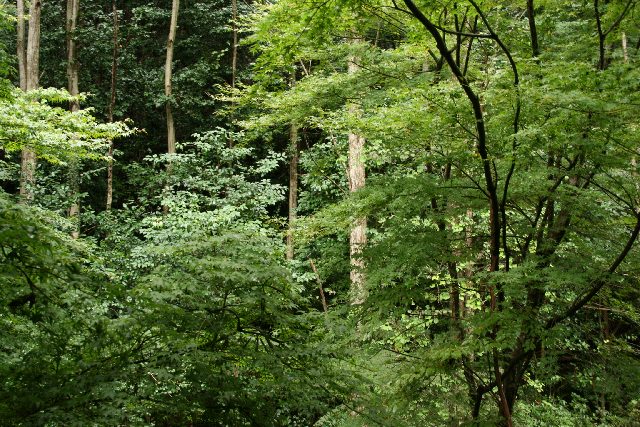 e0111363_12314719.jpg