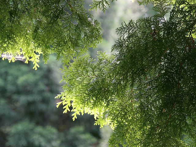 f0131866_022467.jpg