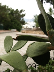 c0102268_23392255.jpg