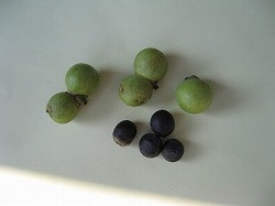 e0041168_9374593.jpg