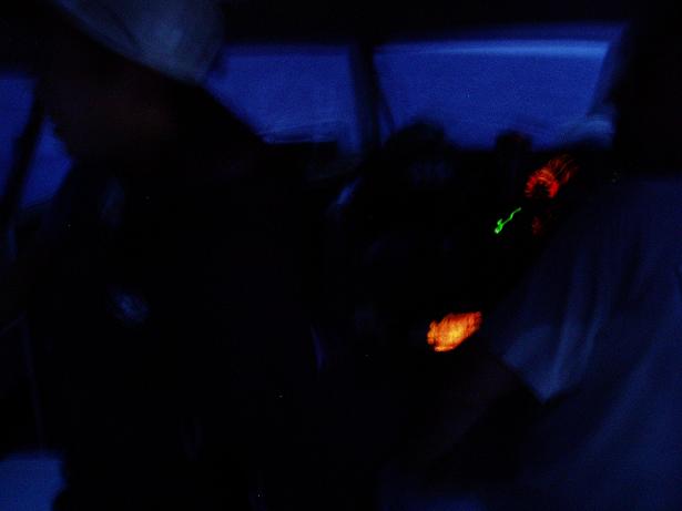 c0025471_19573378.jpg