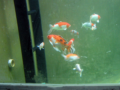 b0000372_16583241.jpg